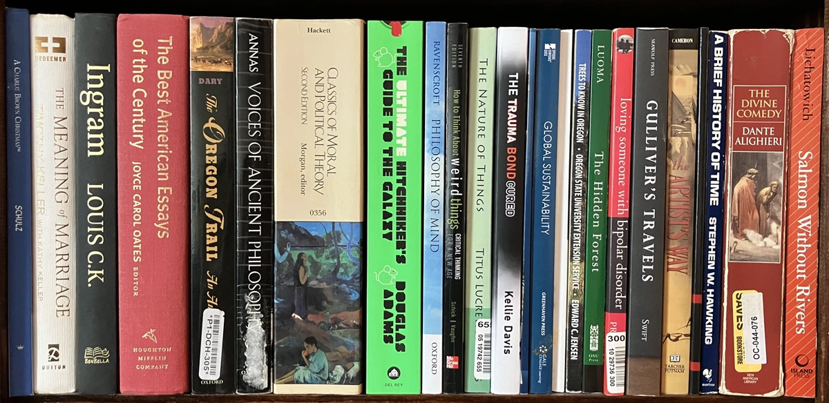 Shelf 2 Zoom